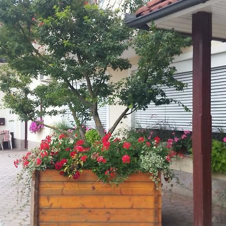 Darja Guesthouse Dob Экстерьер фото