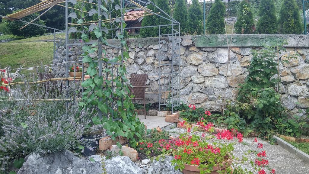 Darja Guesthouse Dob Экстерьер фото